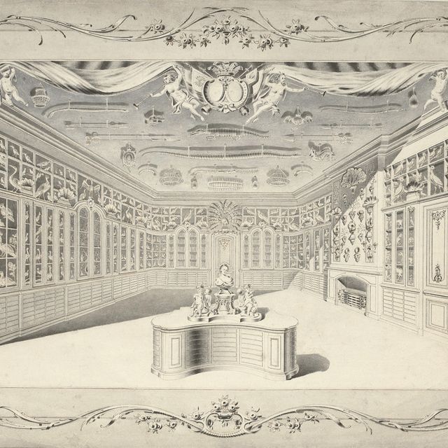 Dutch School — Кунсткамера Катарины Сиртемы ван Гровестинс, Гаага