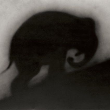 Ed Ruscha — Без названия