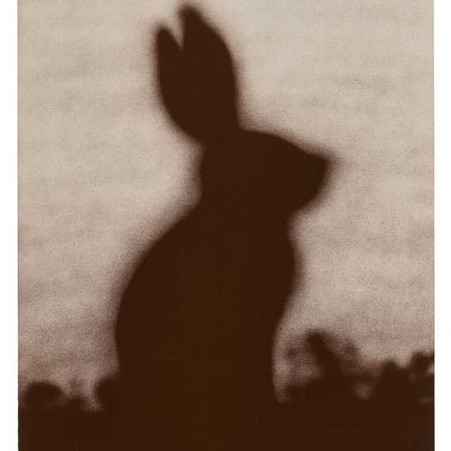 Ed Ruscha — Кролик