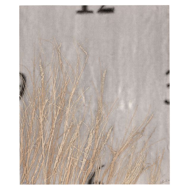 Ed Ruscha — Часы