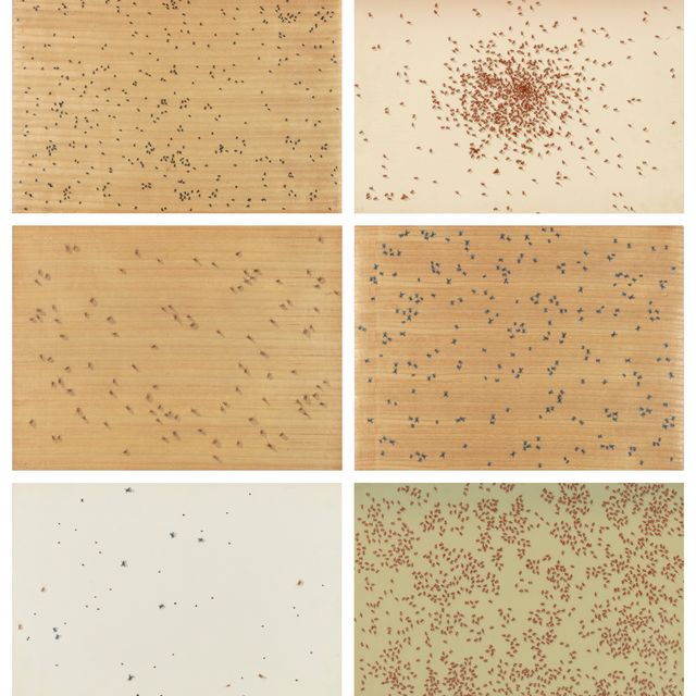 Ed Ruscha — Насекомые