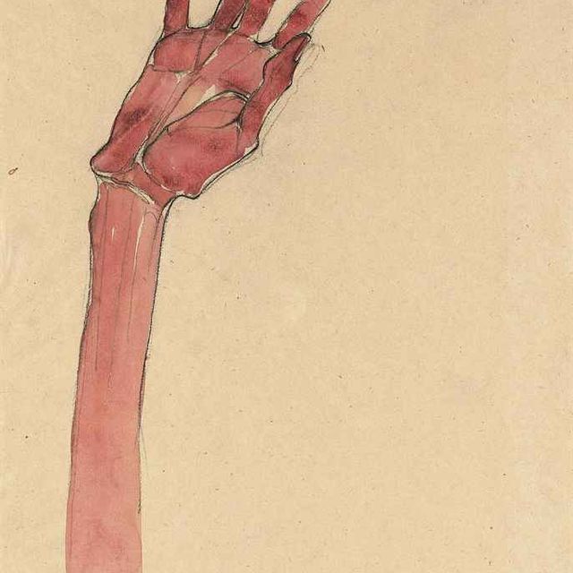 Egon Schiele — Механическая рука Эрхобен