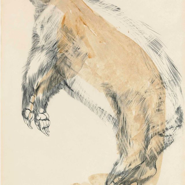 Elisabeth Frink — Барсук