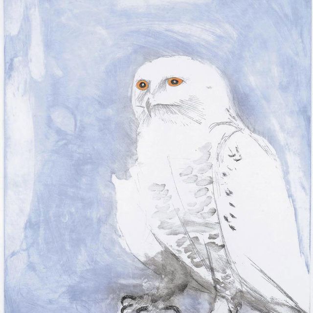 Elisabeth Frink — Снежная сова, от "Шести сов" (Wiseman 116)
