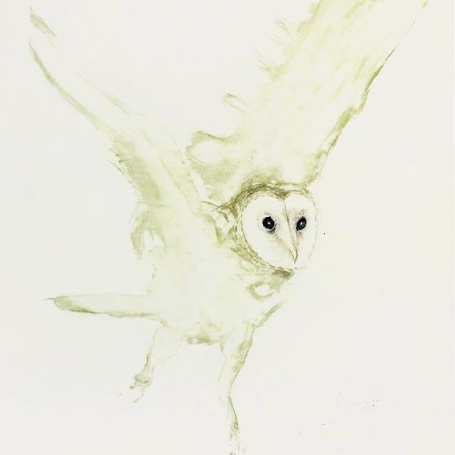 Elisabeth Frink — Молодая сипуха, от шести сов (Wiseman 120)