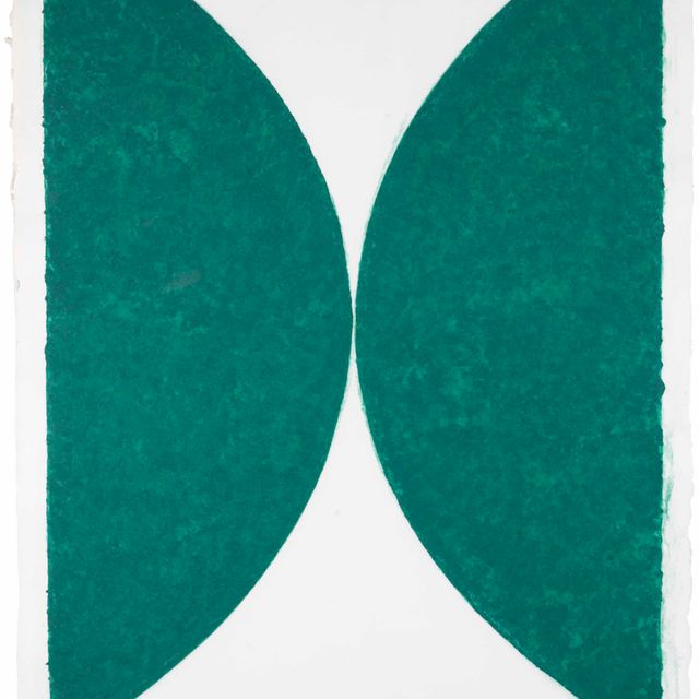 Ellsworth Kelly — Изображение цветной бумаги, состояние (зеленая кривая)