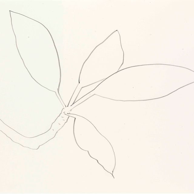 Ellsworth Kelly — Листья