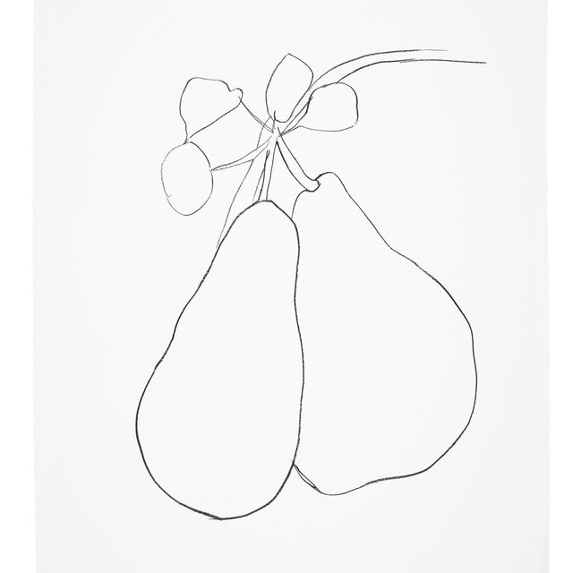 Ellsworth Kelly — Груша II, из серии литографий растений