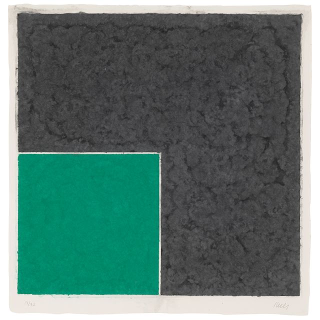 Ellsworth Kelly — Изображение на цветной бумаге XVIII (зеленый квадрат с темно-серым рисунком)