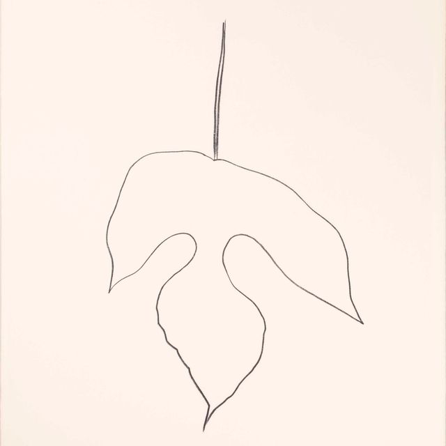 Ellsworth Kelly — Лист шелковицы