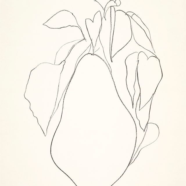 Ellsworth Kelly — Груша I, из серии литографий растений