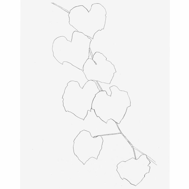 Ellsworth Kelly — Виноградные листья II, из листьев