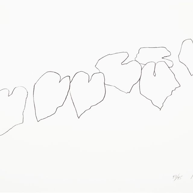 Ellsworth Kelly — Листья дикого винограда I, из пяти литографий с растениями и цветами