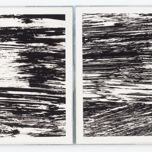 Ellsworth Kelly — Государства реки