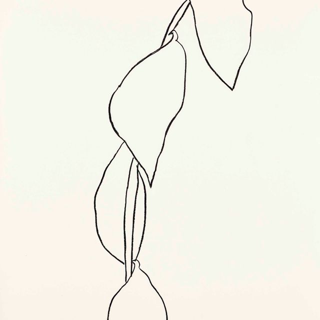 Ellsworth Kelly — Лимонная веточка (Branche de Citron)