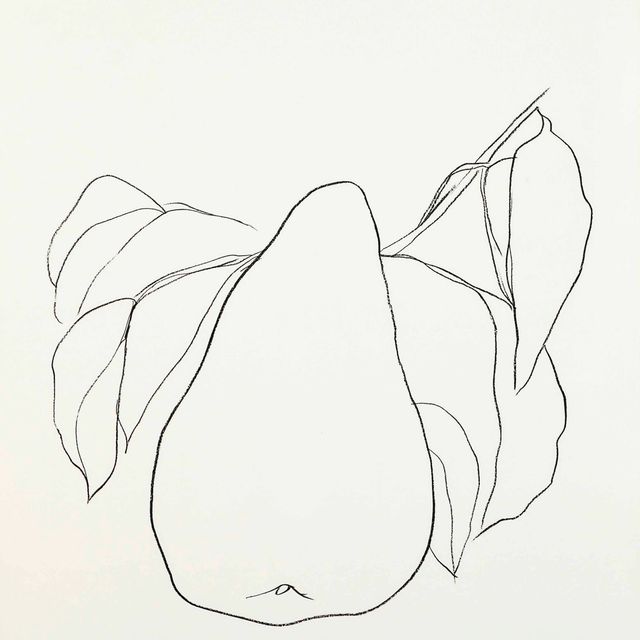 Ellsworth Kelly — Груша III, из серии литографий растений
