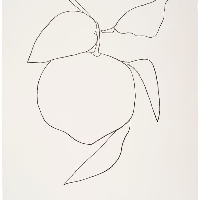 Ellsworth Kelly — Грейпфрут (Памплемусс) из серии растительных литографий