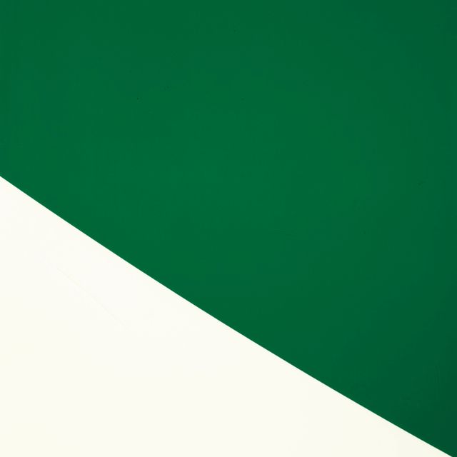 Ellsworth Kelly — Зеленая кривая