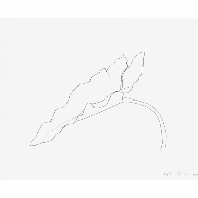 Ellsworth Kelly — Лист X, состоящий из двенадцати листьев