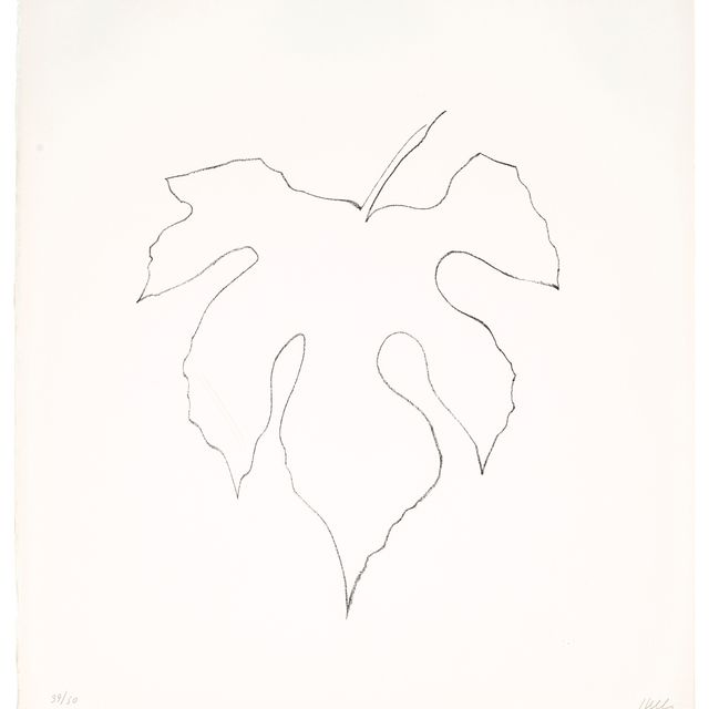 Ellsworth Kelly — Листья дикого винограда