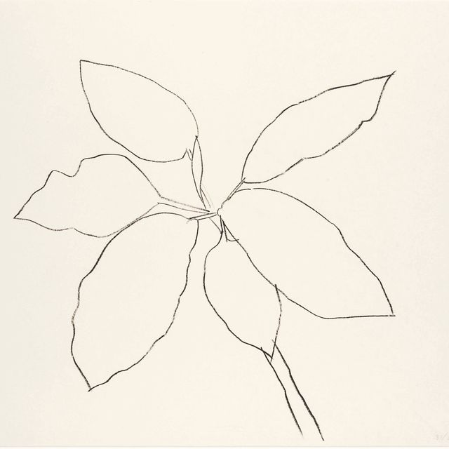 Ellsworth Kelly — Тропическое растение Сен-Мартен (A. 192)