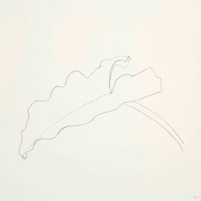 Ellsworth Kelly — Лист VIII, из двенадцати листов