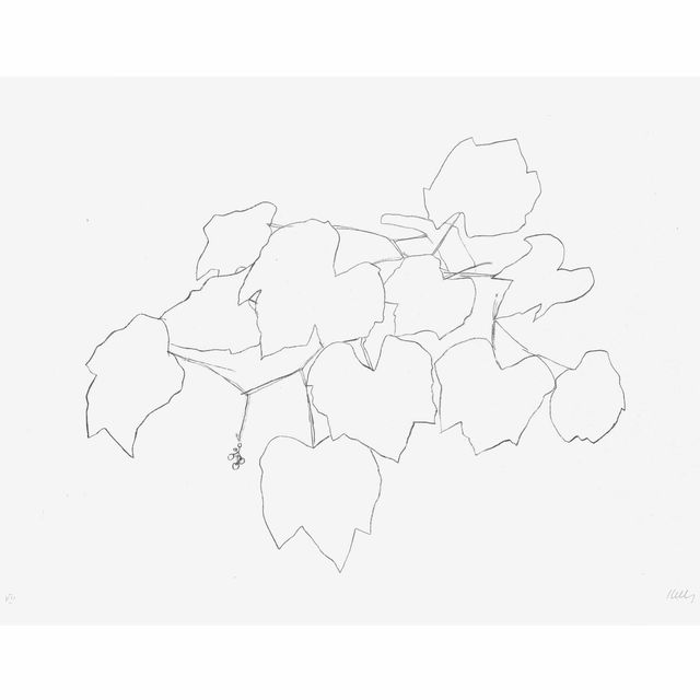 Ellsworth Kelly — Виноградные листья I, из листьев