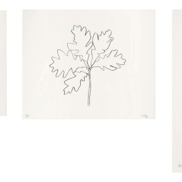 Ellsworth Kelly — Дуб II-IV, из дубовых листьев (G. 1565-68)