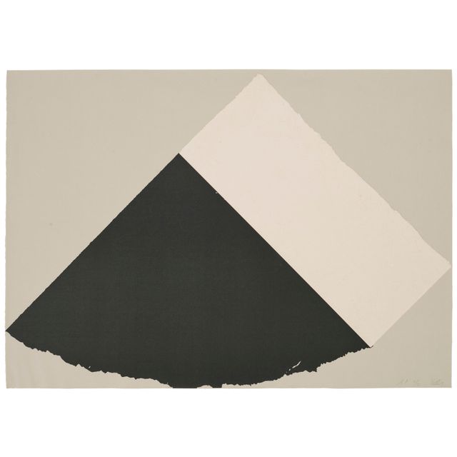 Ellsworth Kelly — Темно-серый и белый