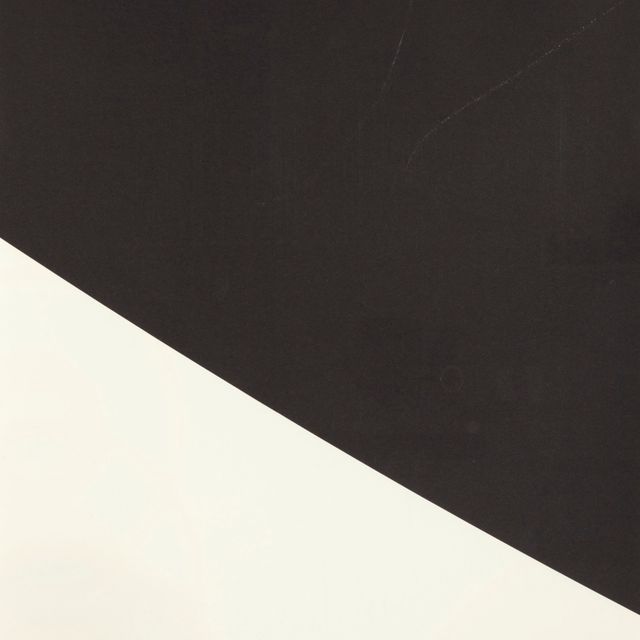 Ellsworth Kelly — Черная кривая