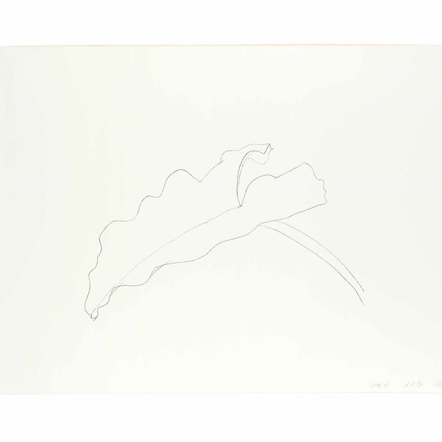 Ellsworth Kelly — Лист VIII