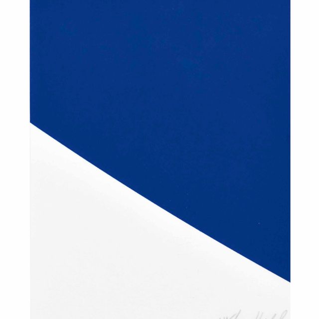 Ellsworth Kelly — Синяя кривая