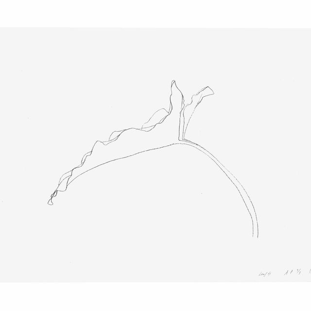 Ellsworth Kelly — Листья, из двенадцати листьев