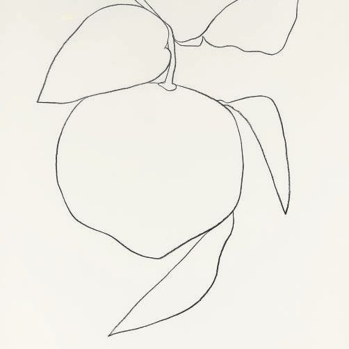 Ellsworth Kelly — Мандарин (Mandarine), из набора растительных литографий (Axsom 34)