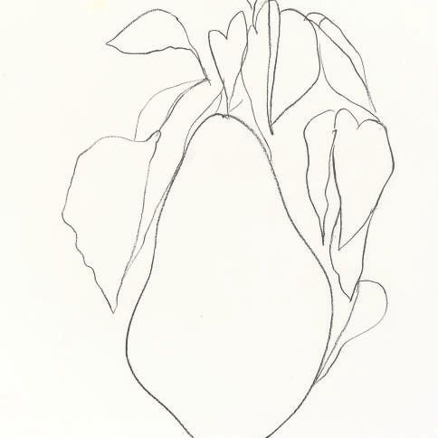 Ellsworth Kelly — Груша I, из серии литографий растений (А. 45)