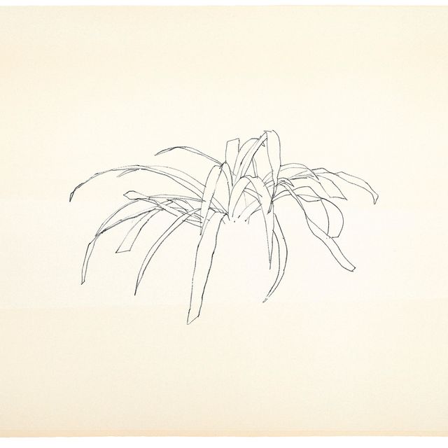 Ellsworth Kelly — Листья, состоящие из двенадцати листьев