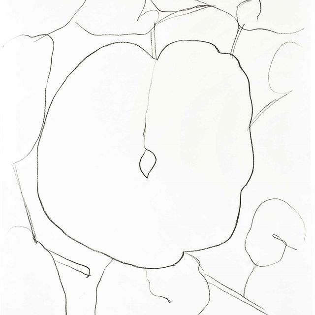 Ellsworth Kelly — Лист дыни