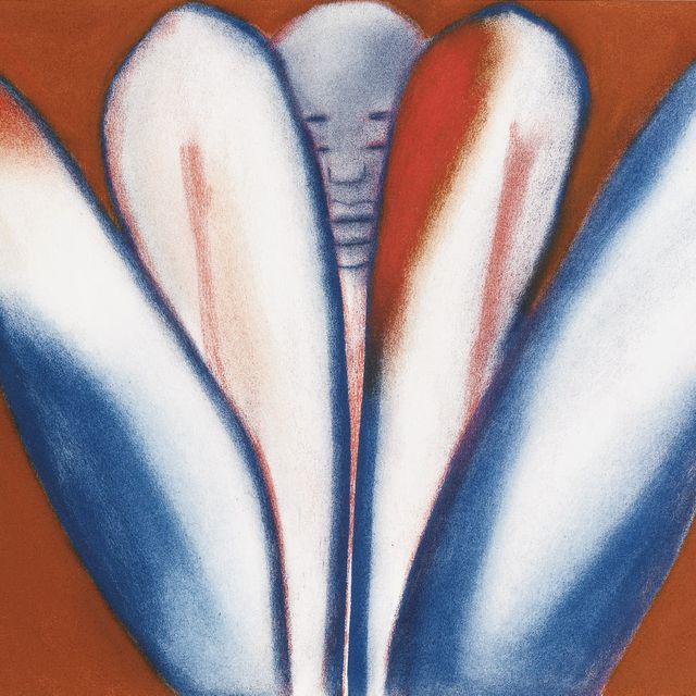 Francesco Clemente — Серия "Далла Каносса": Ощущение