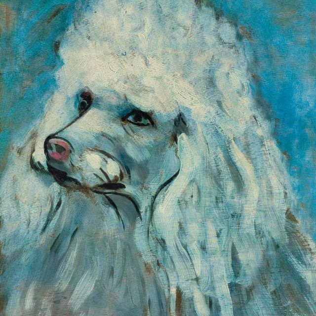 Francis Picabia — Корзина