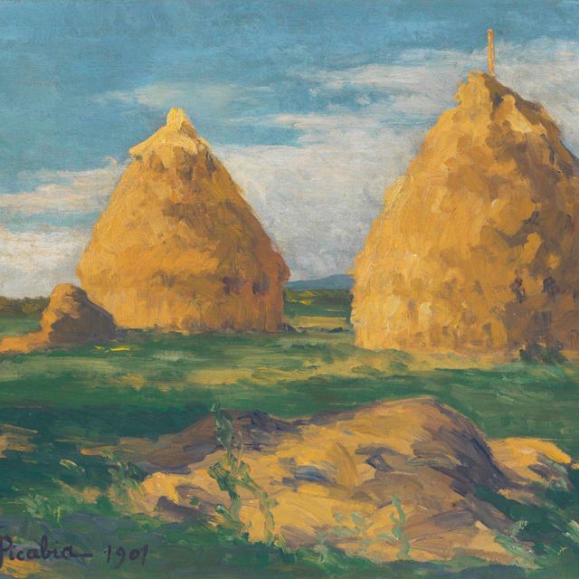 Francis Picabia — Без титра