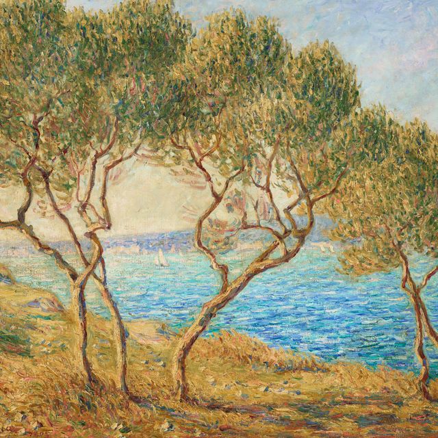 Francis Picabia — Оливье, эффект солнца в Мартиге