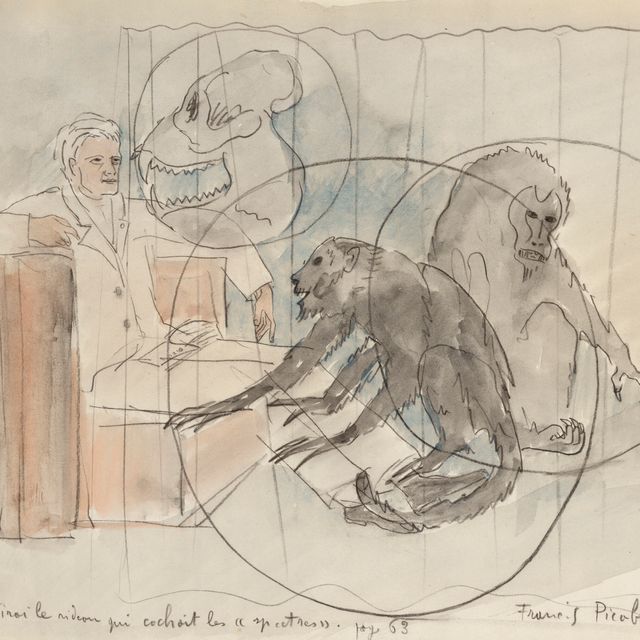 Francis Picabia — Я испытываю облегчение от того, что вижу "призраков"