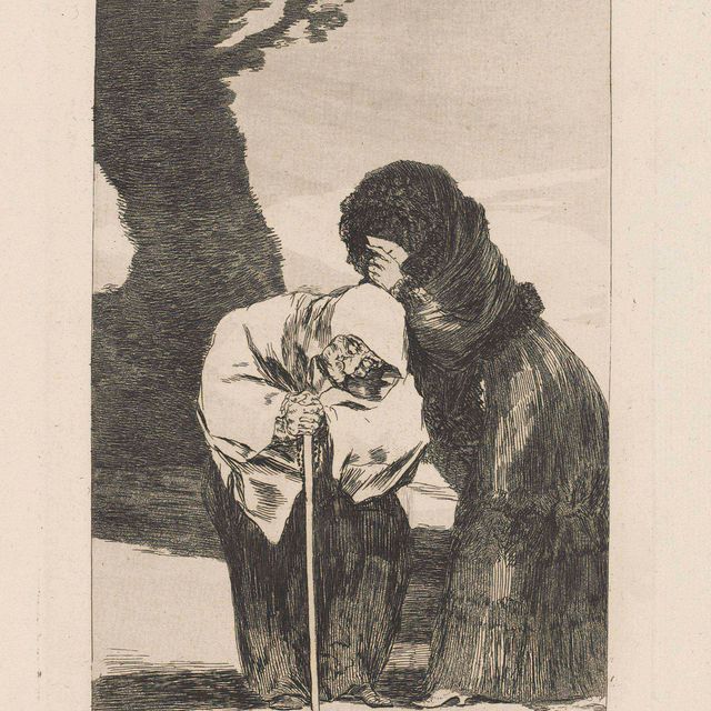 Francisco Goya — Семь пластинок от: Los Caprichos (Н. 63, 83, 84, 92, 95, 102, 114)