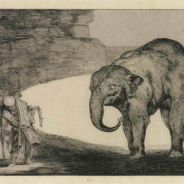 Francisco Goya — Как ты смотришь на Каскадера аль Гато?, из Лос-Провербиос (D. 222; H. 268)