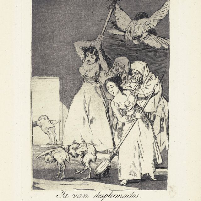 Francisco Goya — Вот они, ощипанные (я в восторге) Фото 20 из: Los Caprichos