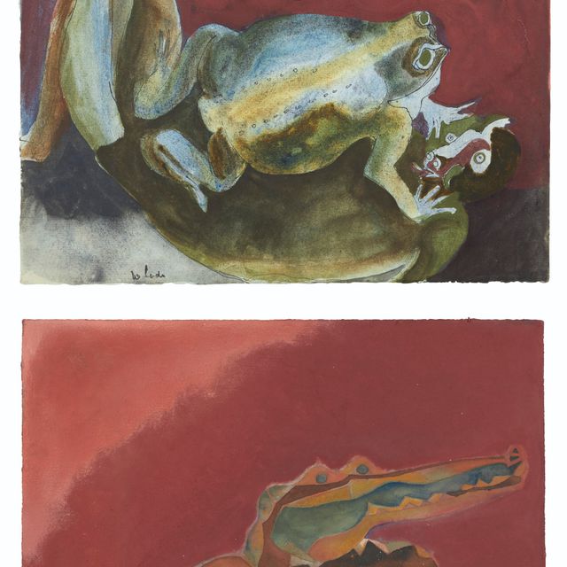 Francisco Toledo — Франсиско Толедо (1940-2019)
