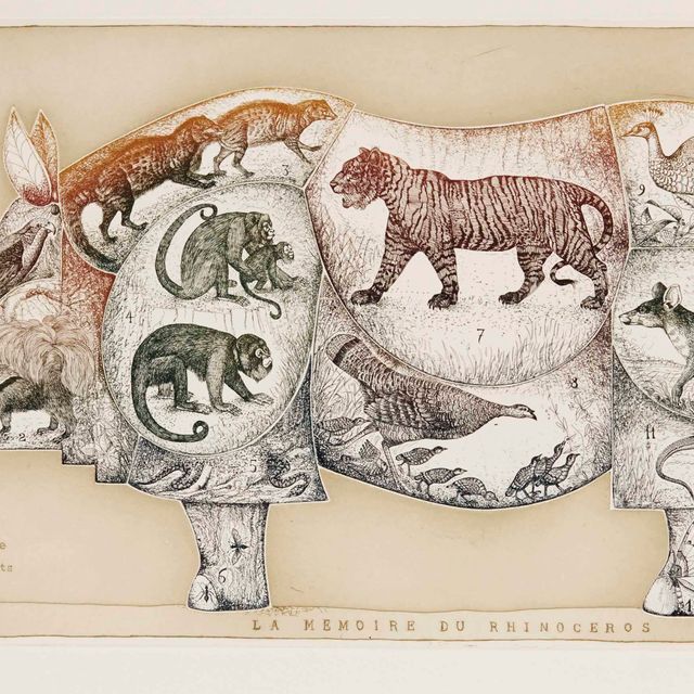 François-Xavier Lalanne — Воспоминания о носорогах