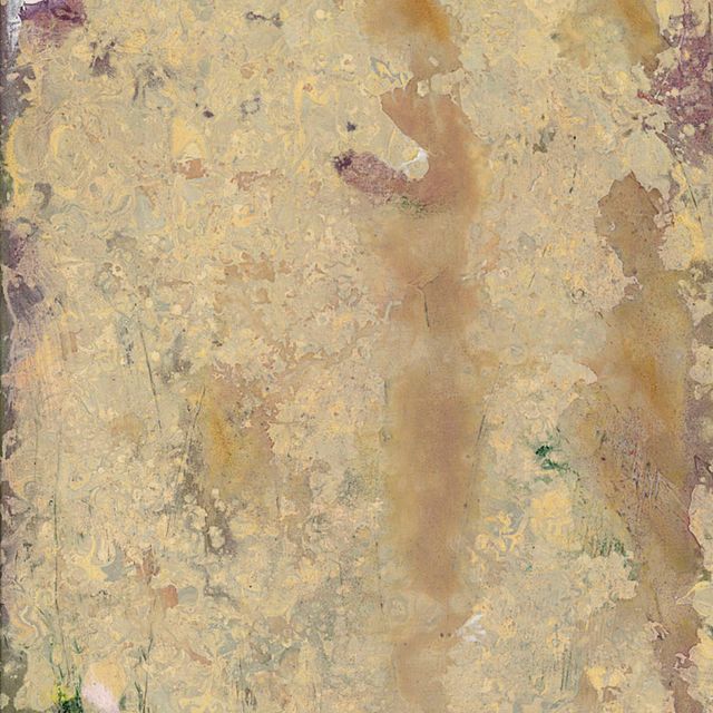 Frank Bowling — Котлеты из индейки