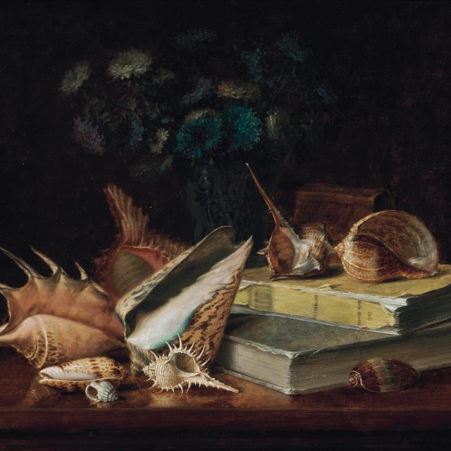 French School — Ракушки, книги и ваза с цветами на столе