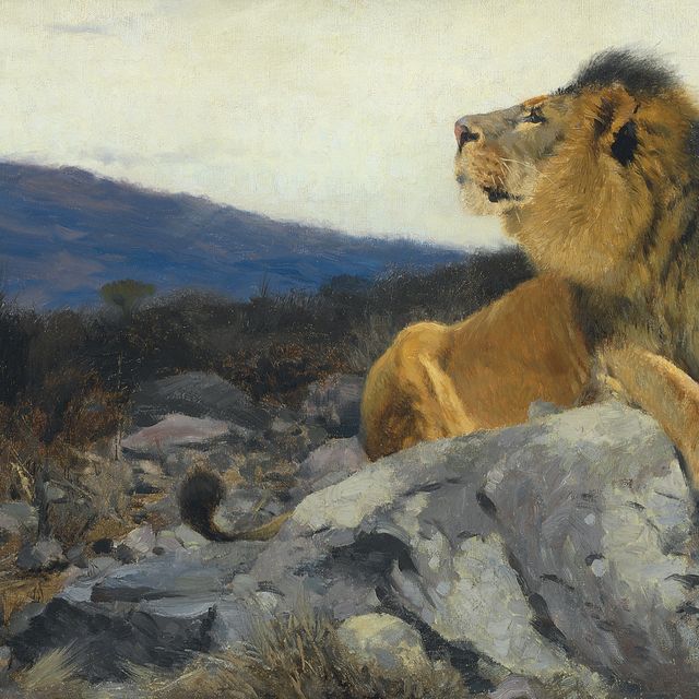 Friedrich — Король Серенгети